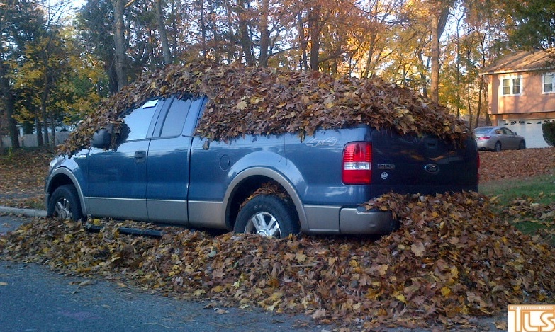 The Lakewood Scoop » Township leaf pickup begins today; Schedule » The