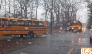 buses not driving