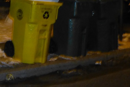 trash recycling snow tls