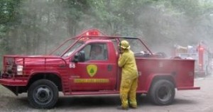 state forest fire thelakewoodscoop tls