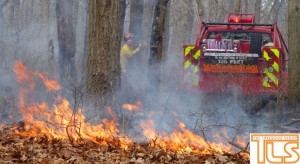 nj state forest fire svc brush fire 4-19-15