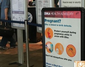 zika virus advisory pic tls