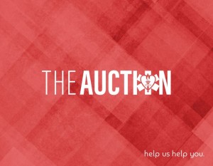 hatz auction