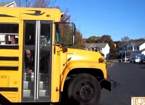 school-bus-tls