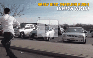 Early-Bird-video
