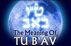 The_Meaning_of_Tu_Bav