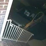 burglar caught on video pic