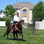 horseback riding tls
