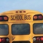 school bus 3 tls
